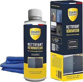 GUARD INDUSTRIE - Nettoyant Rénovateur - Ravive Couleurs Peinture, Plastique, Métal – Antitache 5 ans – 250 G-Traite 2 Portes et 10 Fenêtres - Chiffon microfibre inclus