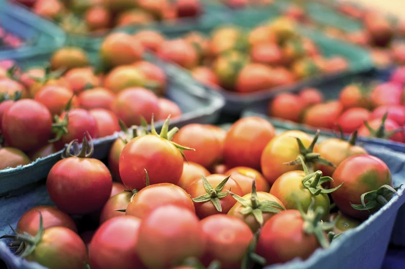 Comment choisir sa boutique de jardinage ?