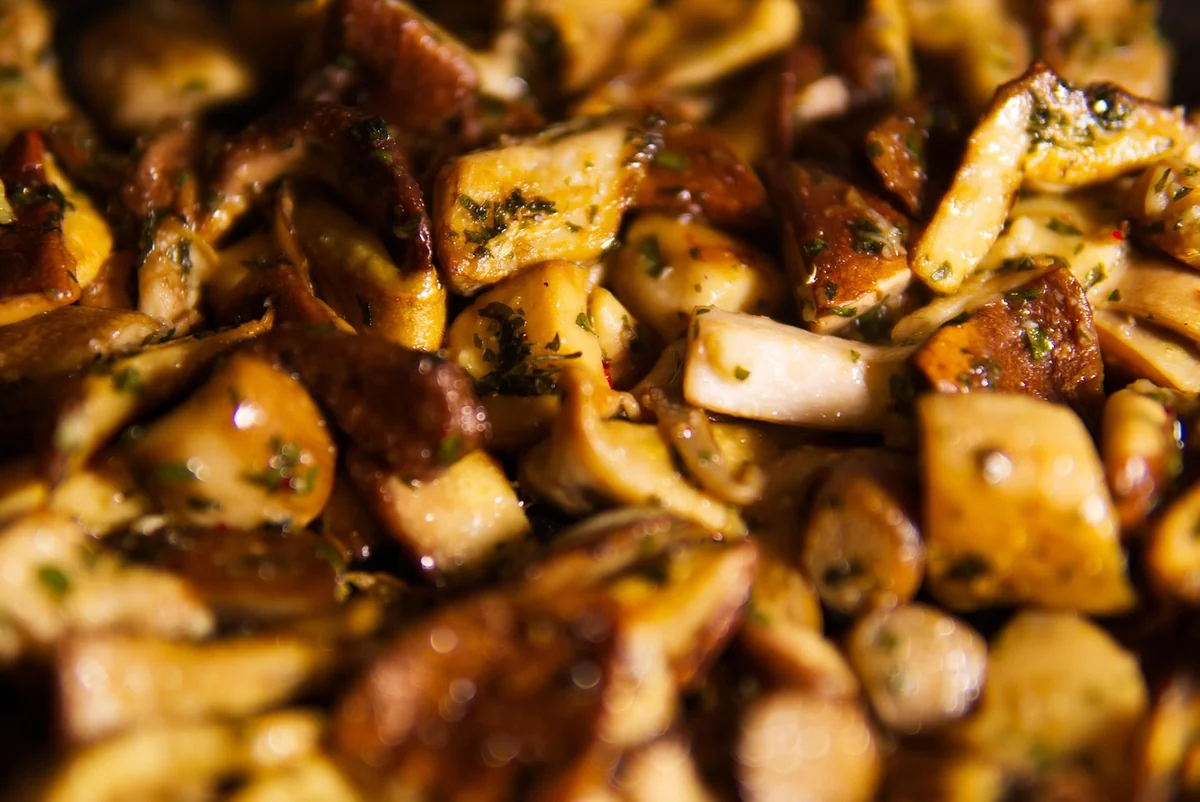 Comment préparer et cuisiner le bolet jaune ?