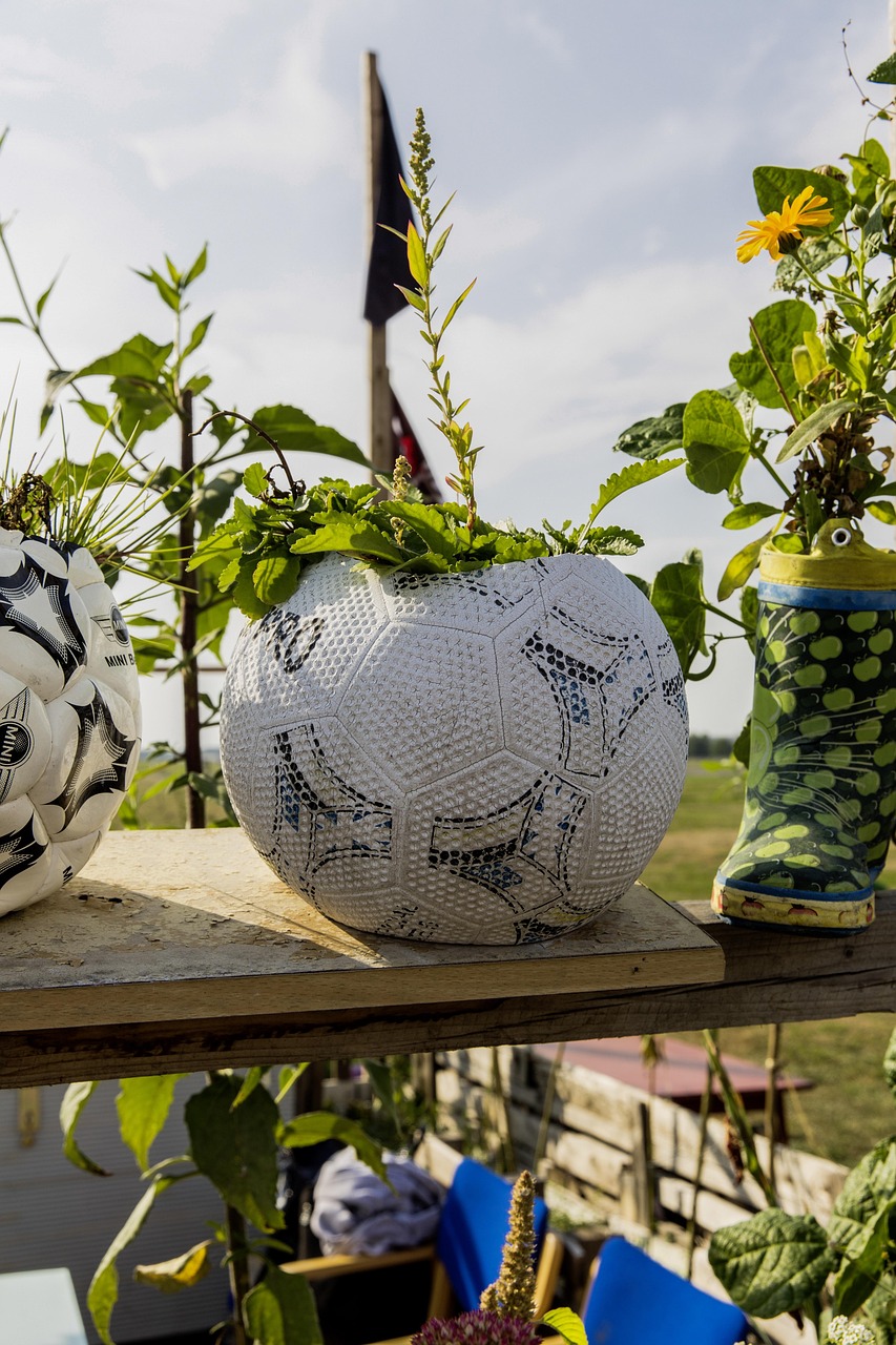 Créer un potager surélevé : plans et conseils de culture