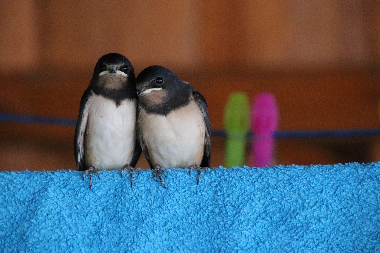 DIY : Construire un préau pour voiture