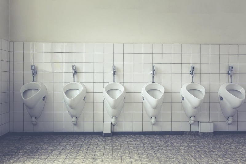 Comment se débarrasser des vers dans les toilettes en 2026 : solutions efficaces